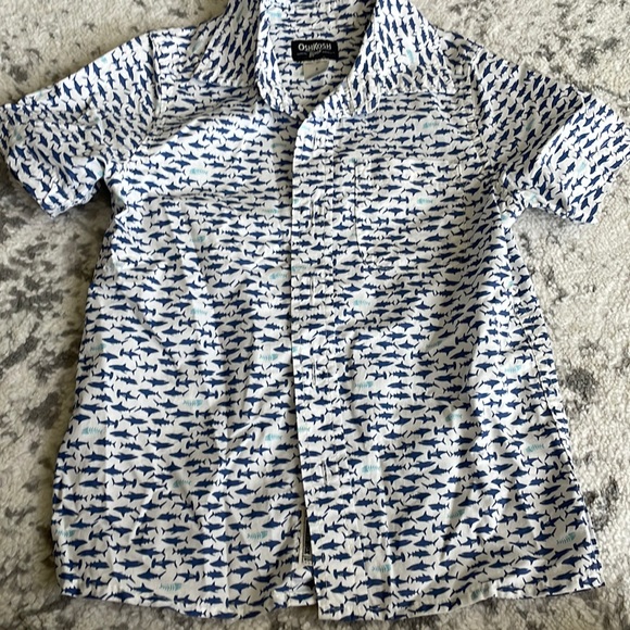 Shark attack - Picture 1 of 2